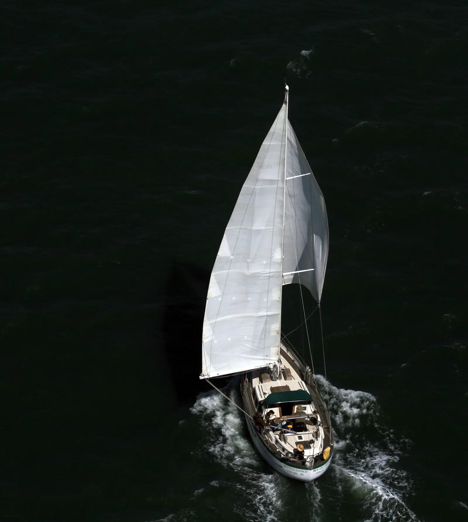 Segelbåt på San Francisco Bay