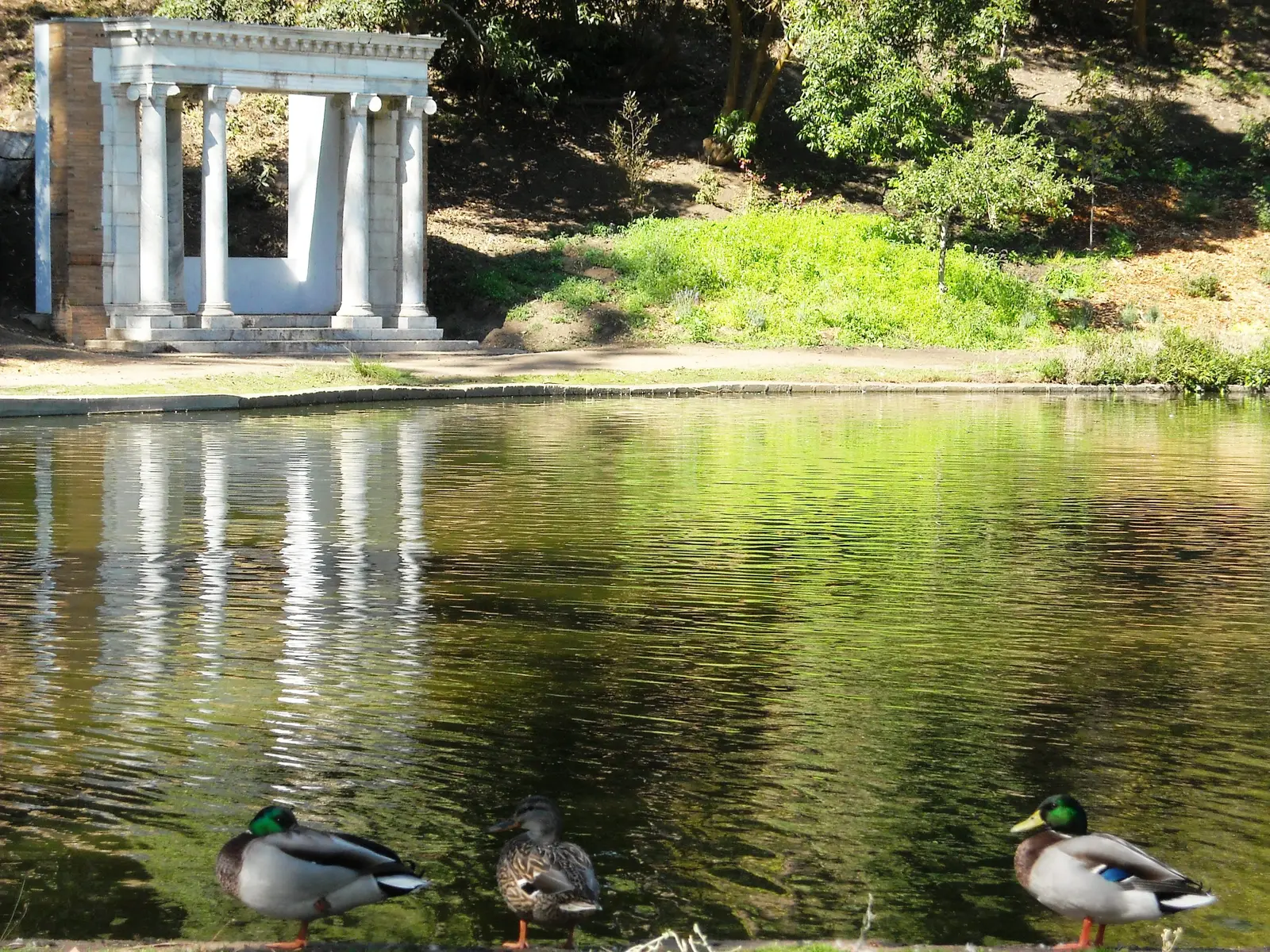 Golden Gate Park i San Francisco
