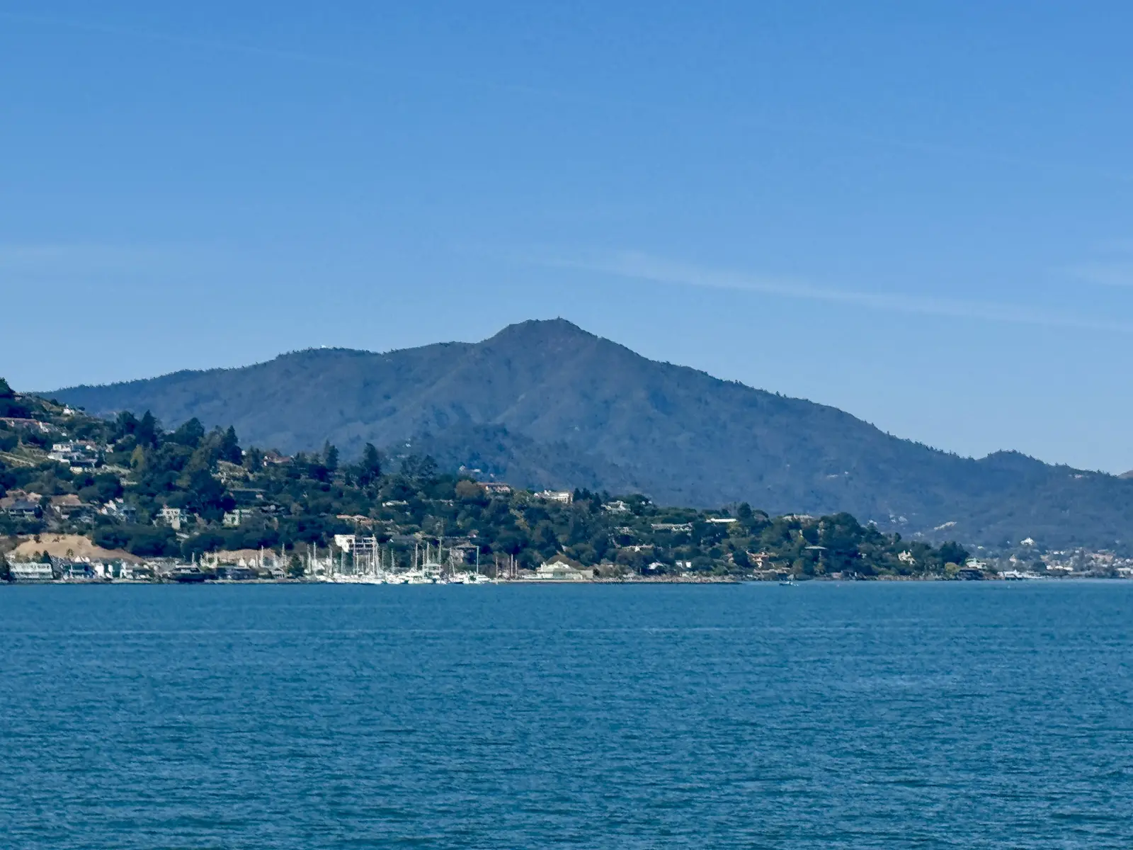 Redwoodskog och natur på en utflykt från San Francisco